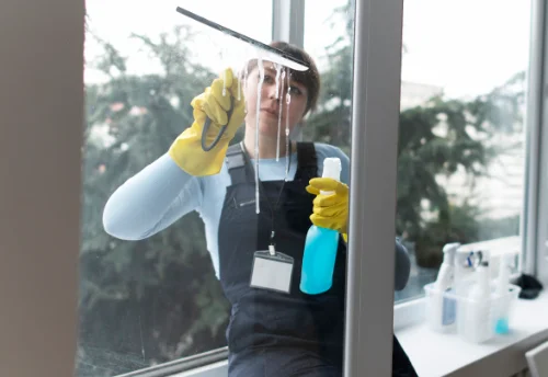 Nettoyage de vitres intérieures et extérieures à Roëzé-sur-Sarthe
